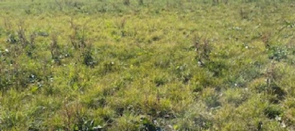 835m² Land in Jallaucourt, France No. 75449 7