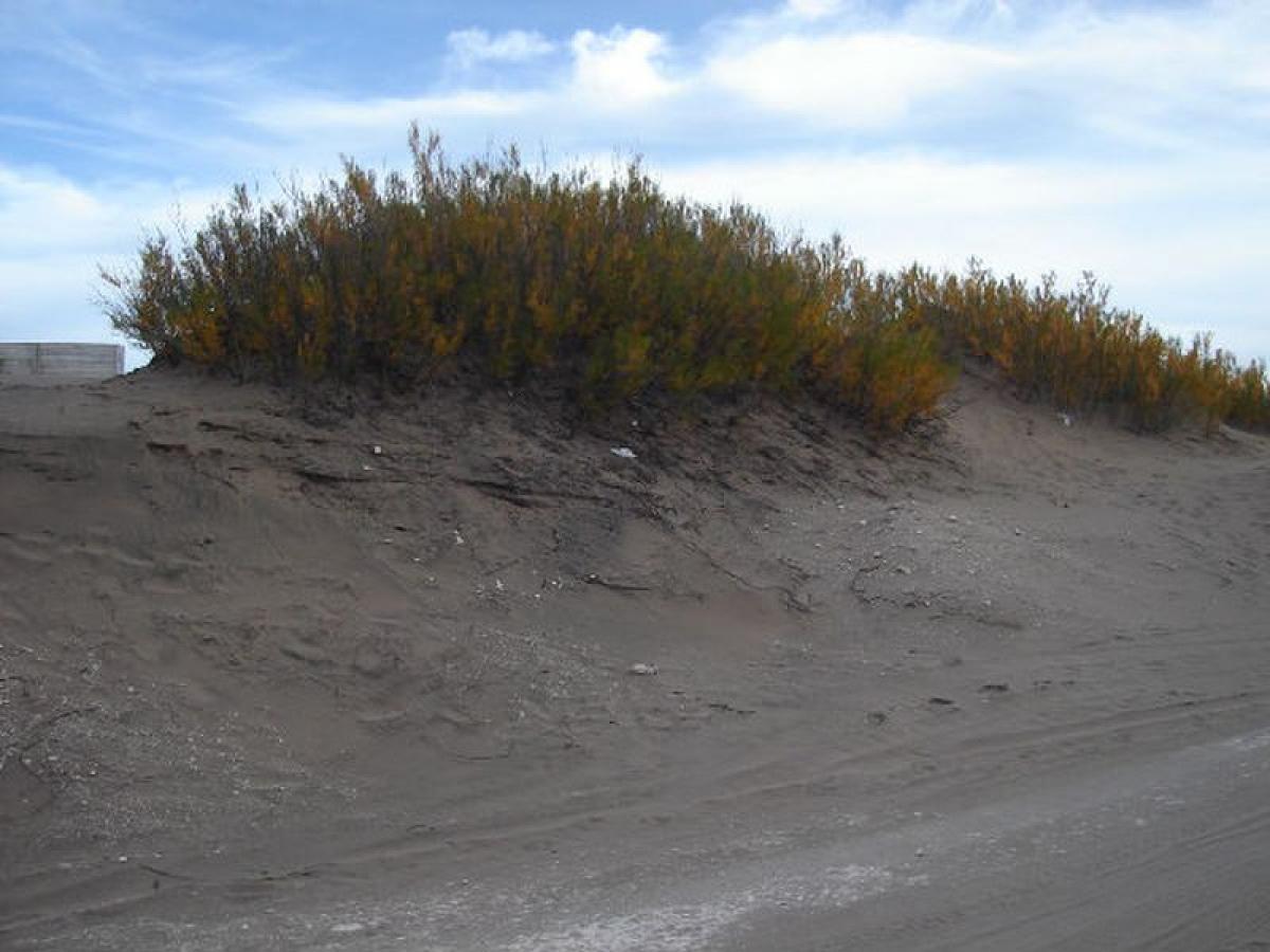 Grundstück in Mar del Plata, Argentina, Nr. 117472