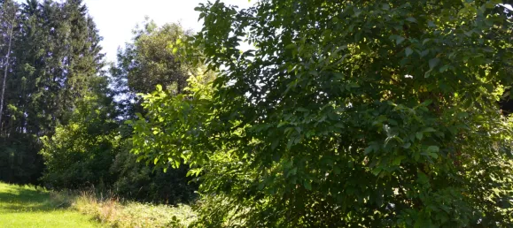 Terreno en Wernberg, Austria No. 207441 4