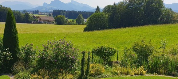 4 bedrooms Villa in Eugendorf, Austria No. 188929 6