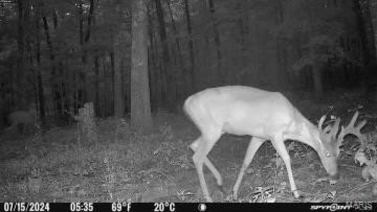  Land in Jadwin, USA No. 543740