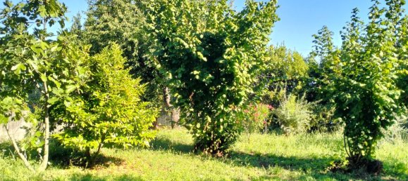 Casa de 8 habitaciónes en Massarosa, Italy No. 145603 8