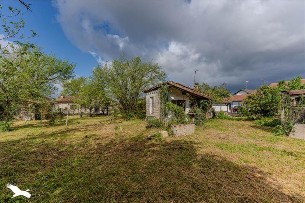 4 chambres Maison à Labouheyre, France No. 286464