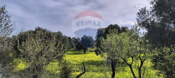 10862m² Land in Monopoli, Italy No. 152531 2