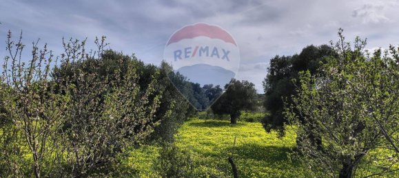 10862m² Land in Monopoli, Italy No. 152531 6