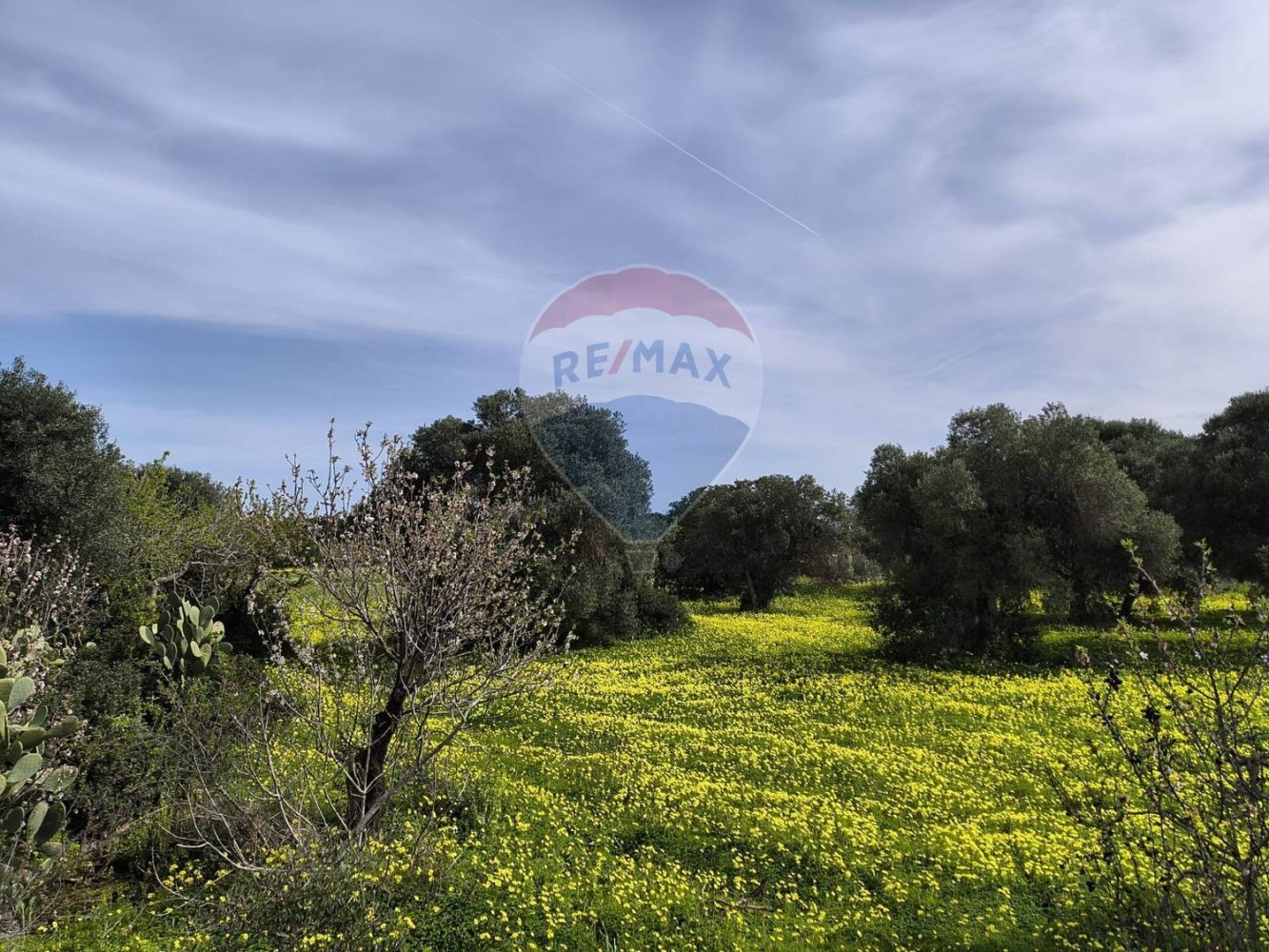 10862m² Land in Monopoli, Italy No. 152531