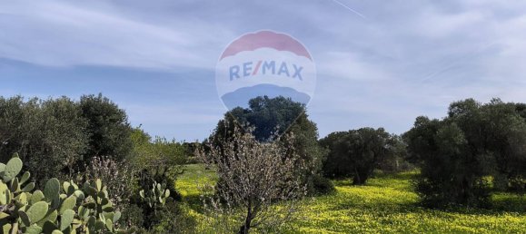 10862m² Land in Monopoli, Italy No. 152531 3