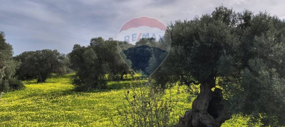 10862m² Land in Monopoli, Italy No. 152531 7