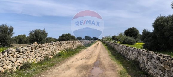 10862m² Land in Monopoli, Italy No. 152531 5