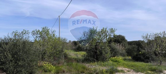 10862m² Land in Monopoli, Italy No. 152531 4