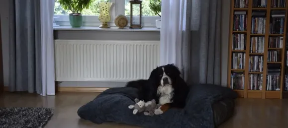 5 rooms Building in Cuxhaven, Germany No. 310429 20