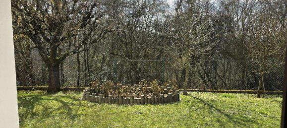 6 rooms Bungalow in Saarland, Germany No. 35380 2