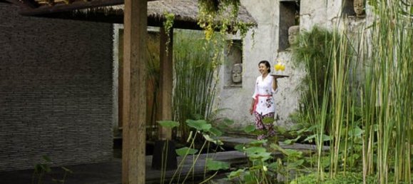 4 غرف نوم فيلا في Canggu, Indonesia رقم 3023 21