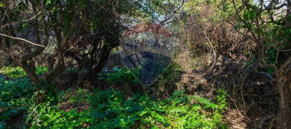 Terreno em San Gregorio di Catania, Italy 158 m² N.º 84301 18