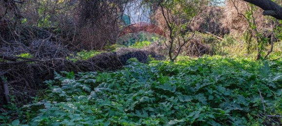 Terreno em San Gregorio di Catania, Italy 158 m² N.º 84301 14