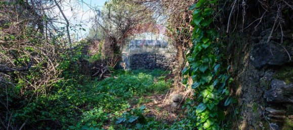 Terreno em San Gregorio di Catania, Italy 158 m² N.º 84301 16