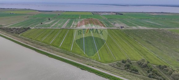  Land in Goro, Italy No. 358402 10