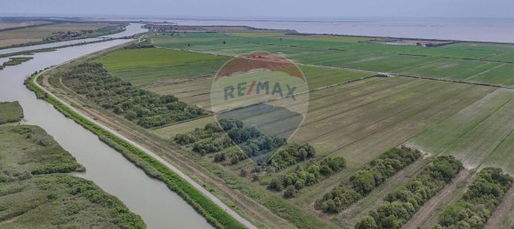  Land in Goro, Italy No. 358402 3