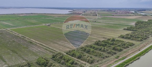  Land in Goro, Italy No. 358402 7