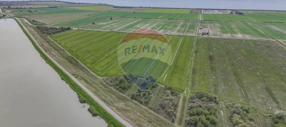  Land in Goro, Italy No. 358402 9