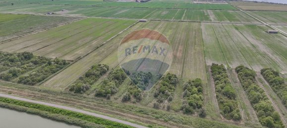  Land in Goro, Italy No. 358402 4