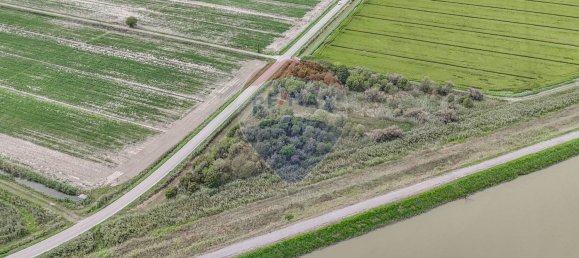  Land in Goro, Italy No. 358402 18