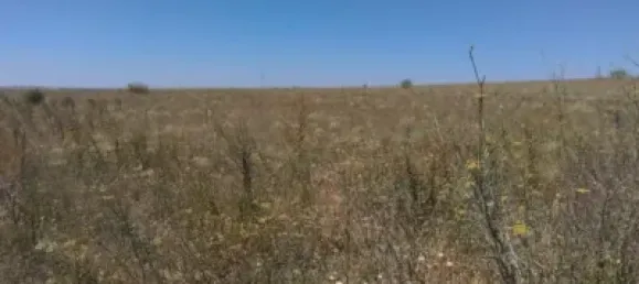 3763m² Land in Zamora, Spain No. 66576 6