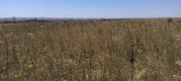 3763m² Land in Zamora, Spain No. 66576 7