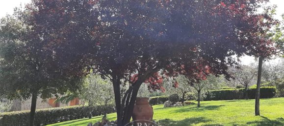 7 bedrooms Villa in Sinalunga, Italy No. 156543 7