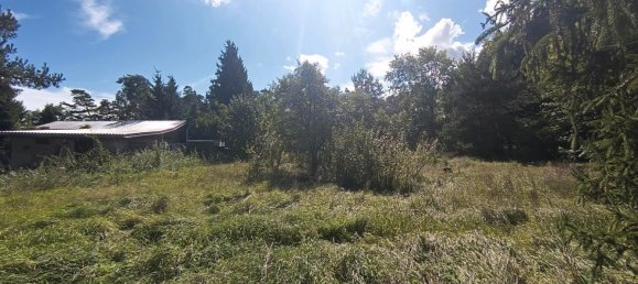 5-salle Bungalow à Elbe-Elster, Germany No. 295404 4