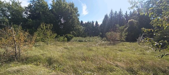 5-salle Bungalow à Elbe-Elster, Germany No. 295404 2