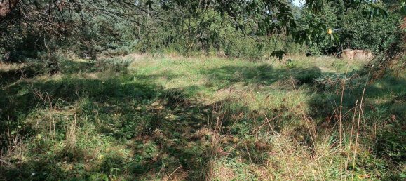 5-salle Bungalow à Elbe-Elster, Germany No. 295404 6