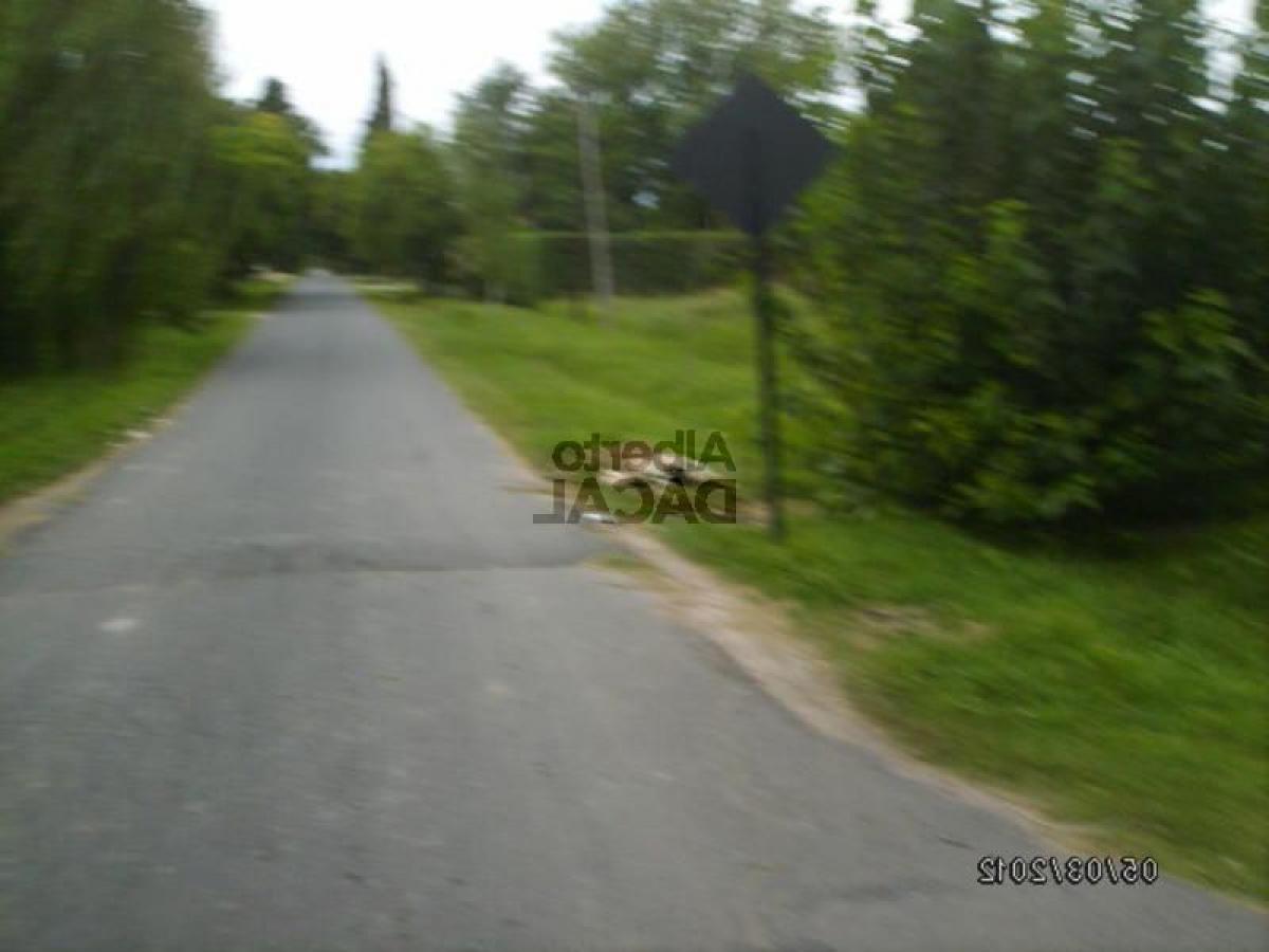  Land in Campo Creado, Argentina No. 42537