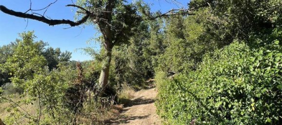 4غرفة منزل في Castagneto Carducci, Italy رقم 221294 5