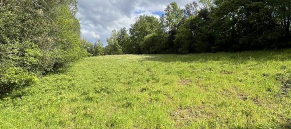 4غرفة منزل في Castagneto Carducci, Italy رقم 221294 16