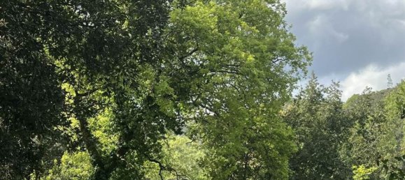 4غرفة منزل في Castagneto Carducci, Italy رقم 221294 9