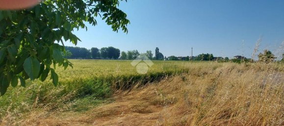 798m² Land in Colorno, Italy No. 63741 16