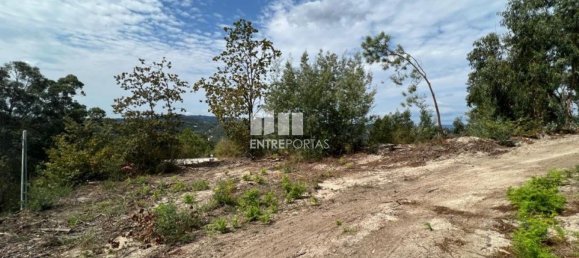 Земельный участок 1000м² в Марку ди Канавезиш, Португалия № 61794 3