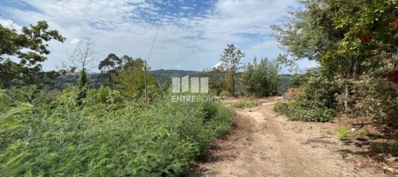 Земельный участок 1000м² в Марку ди Канавезиш, Португалия № 61794 23