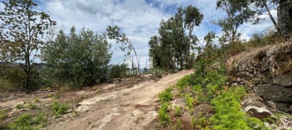 Земельный участок 1000м² в Марку ди Канавезиш, Португалия № 61794 22