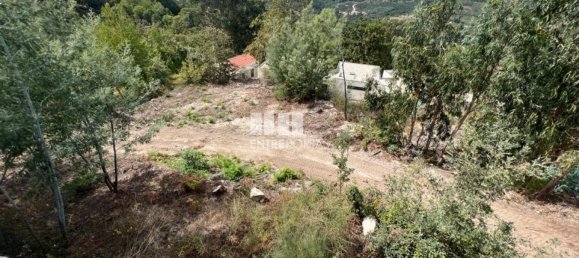 Земельный участок 1000м² в Марку ди Канавезиш, Португалия № 61794 7