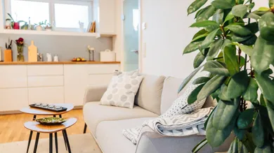 Studio à Waltendorf, Austria No. 182233