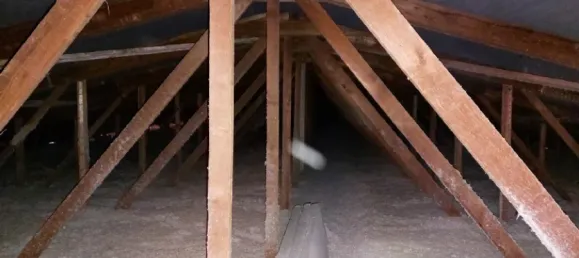 Gebäude in Sachsen, Germany 1795m², Nr. 150304 5