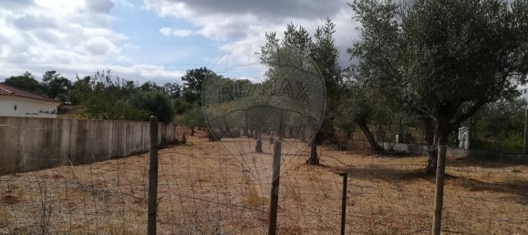 Terrain à Ferreira do Zezere, Portugal 6000m² No. 91078 5