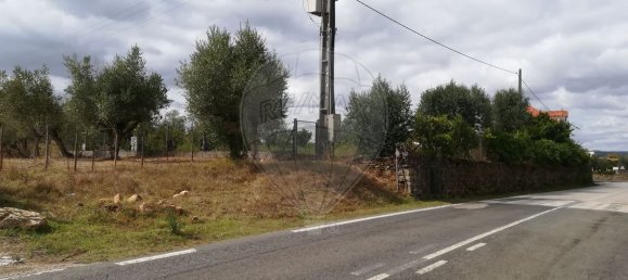 Terrain à Ferreira do Zezere, Portugal 6000m² No. 91078 2