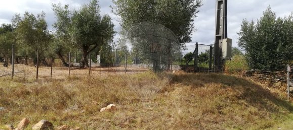 Terrain à Ferreira do Zezere, Portugal 6000m² No. 91078 4