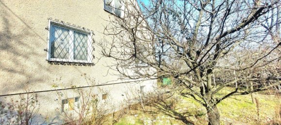 4-Zimmer Haus in Wien, Austria, Nr. 240591 5