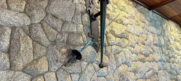 5 Schlafzimmer Haus in Santa Maria da Feira, Portugal, Nr. 190224 28