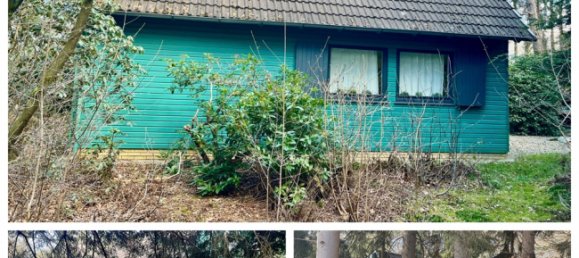 4 غرف نوم منزل في Ammerland, Germany رقم 236014 2