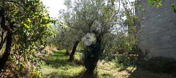 4 bedrooms House in Montecorvino Rovella, Italy No. 377860 39